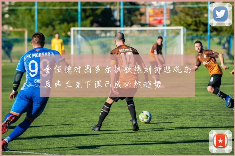 舍伍德对图多尔执教热刺持悲观态度弗兰克下课已成必然趋势