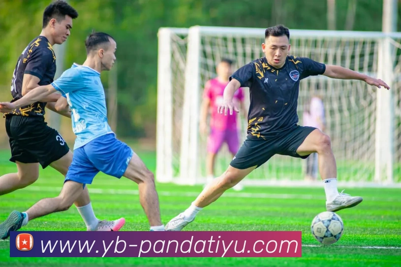 App Interface Preview