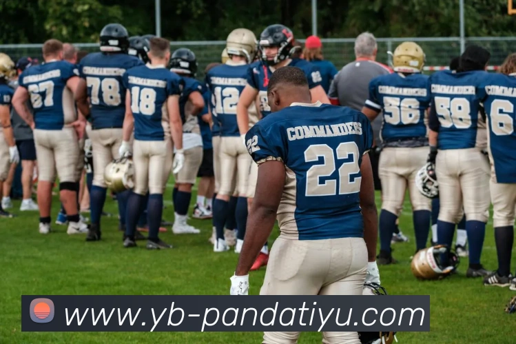 熊猫体育APP 封面图